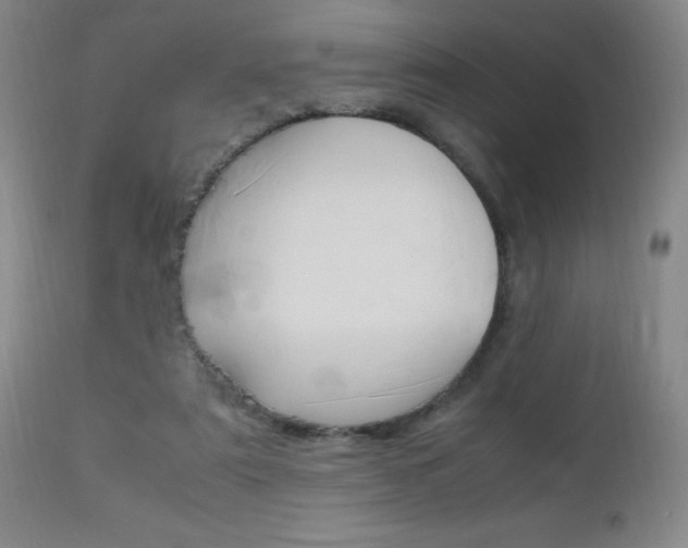 X0000112970307200908270949