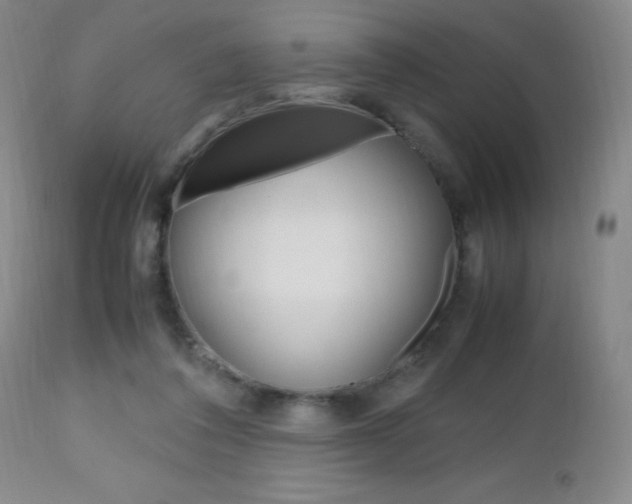 X0000112970308200908270949