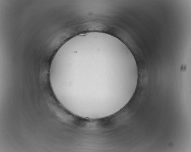 X0000112970309200908270949