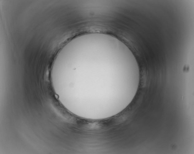 X0000112970310200908270949