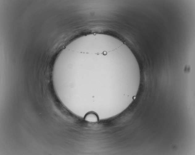 X0000112970311200908270949