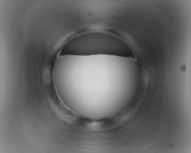X0000112970312200908270949