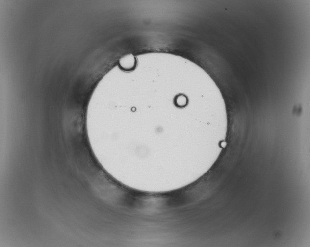 X0000112970313200908270949