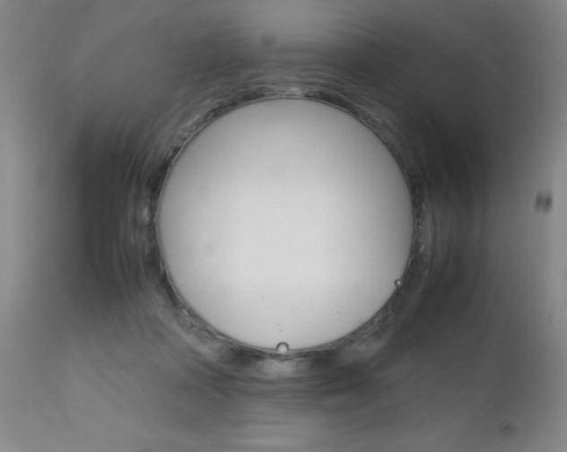 X0000112970314200908270949