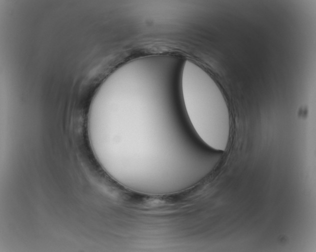X0000112970315200908270949