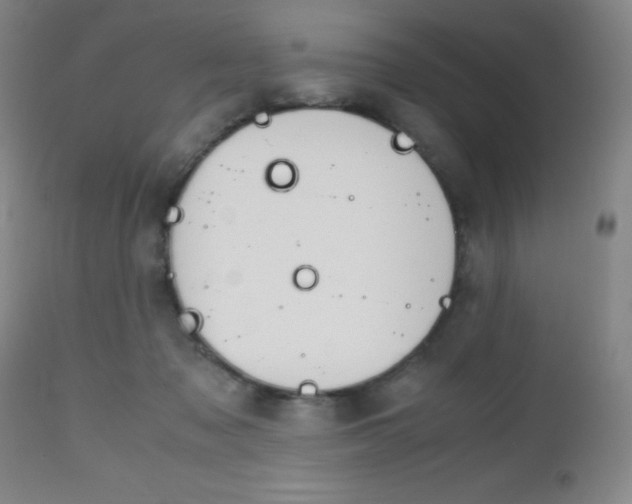 X0000112970317200908270949
