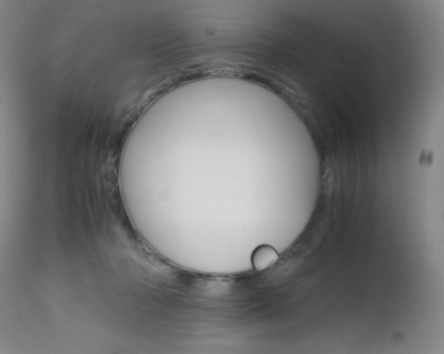 X0000112970318200908270949