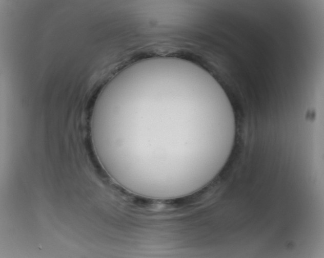 X0000112970319200908270949