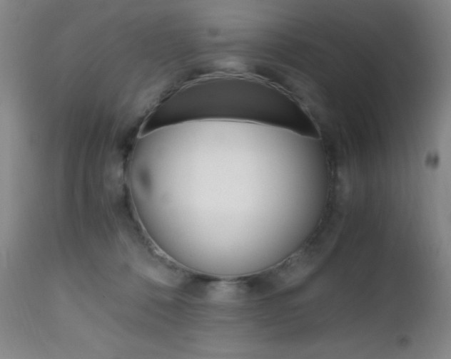 X0000112970320200908270949