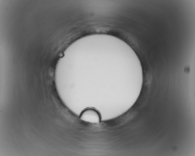 X0000112970321200908270949