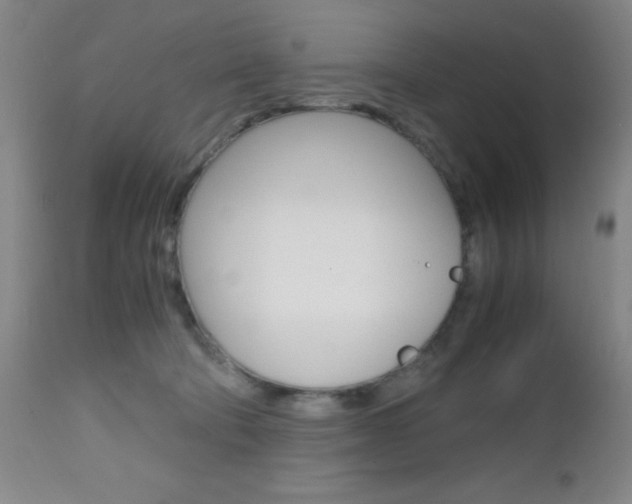 X0000112970322200908270949
