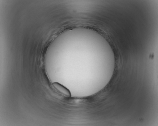 X0000112970323200908270949