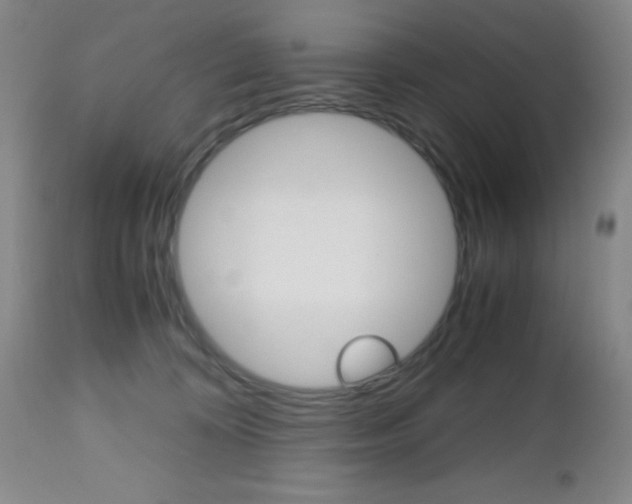 X0000112970324200908270949