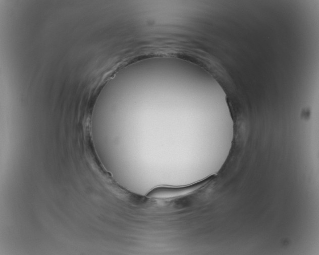 X0000112970329200908270949