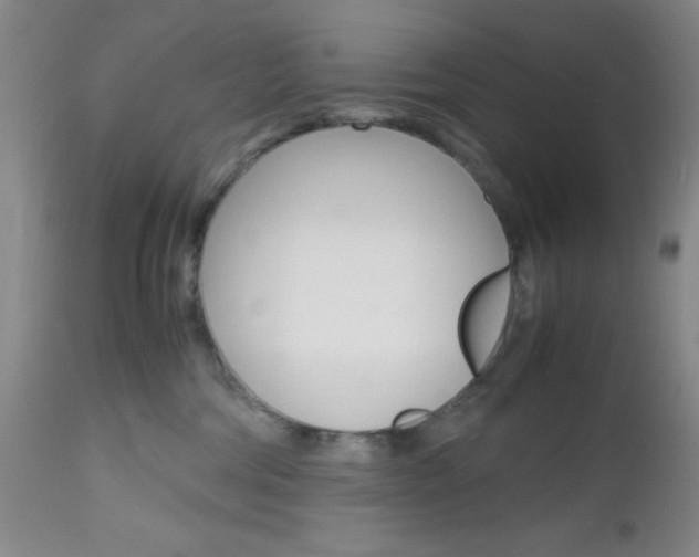 X0000112970330200908270949