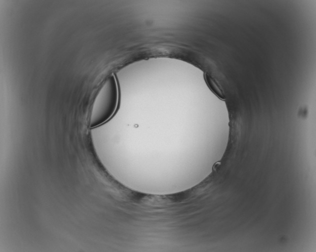 X0000112970331200908270949