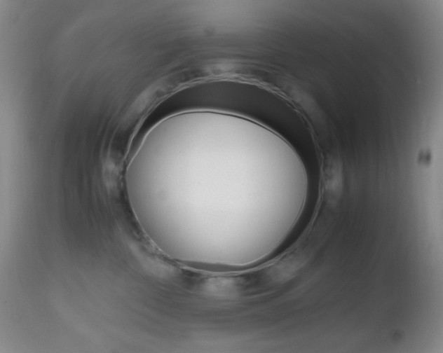 X0000112970332200908270949