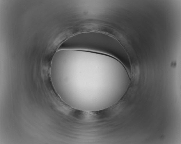 X0000112970333200908270949