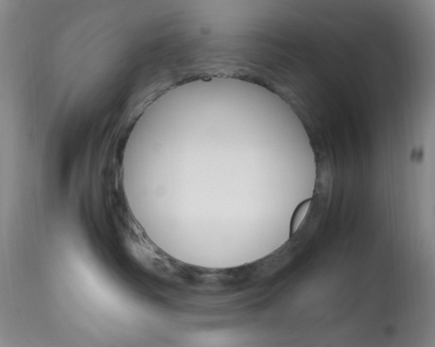 X0000112970334200908270949