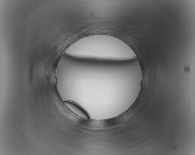 X0000112970335200908270949