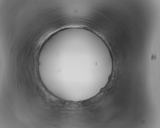 X0000112970337200908270948