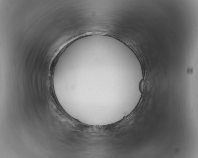 X0000112970338200908270948