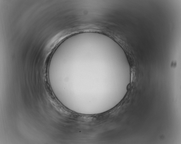 X0000112970339200908270948