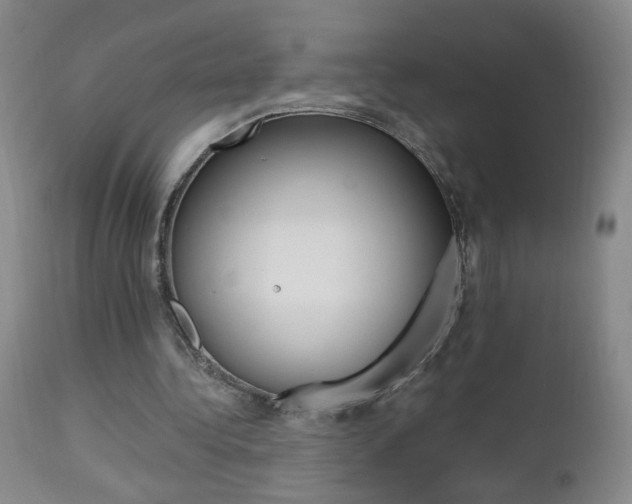 X0000112970340200908270948