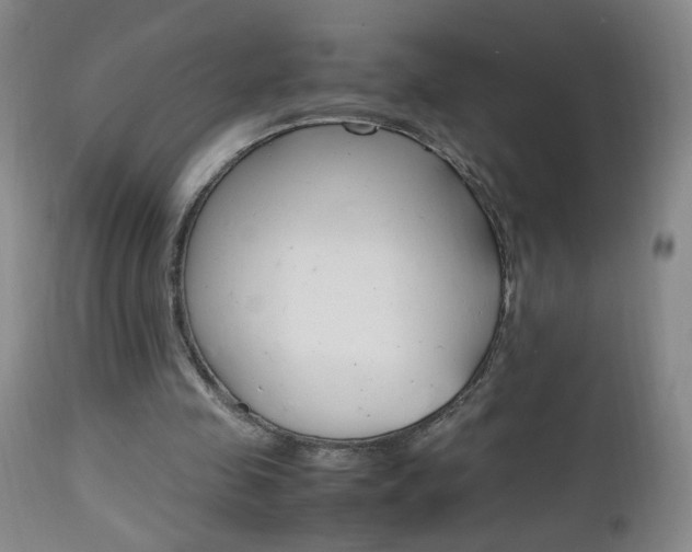 X0000112970341200908270948