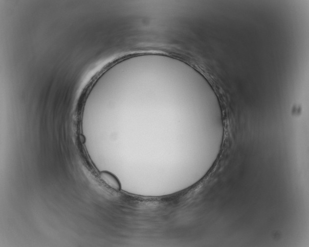 X0000112970342200908270948