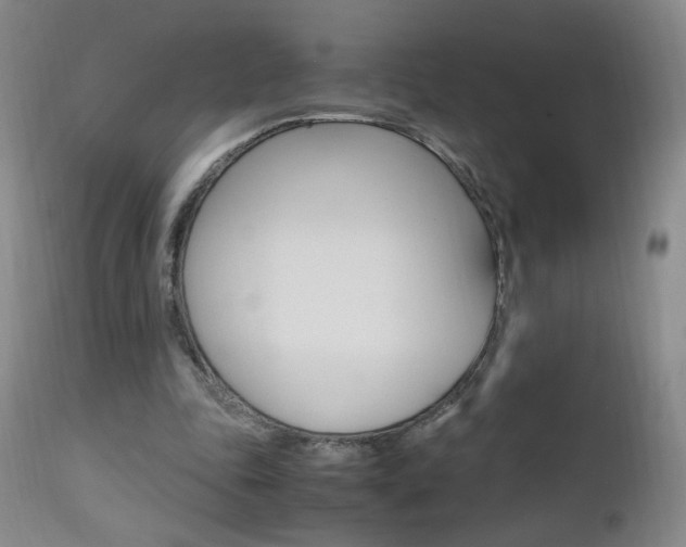 X0000112970343200908270948