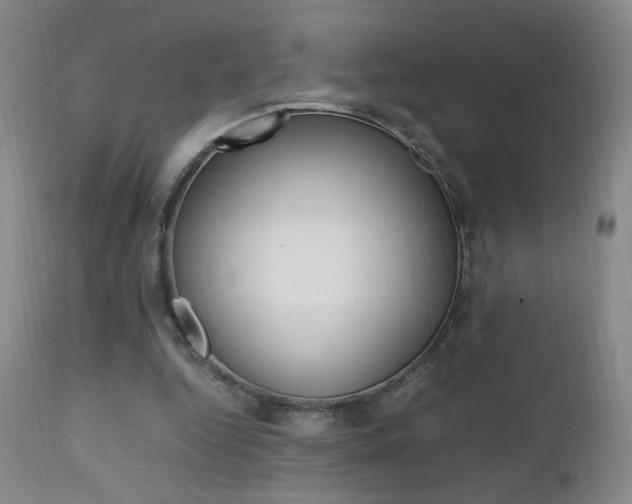 X0000112970344200908270948