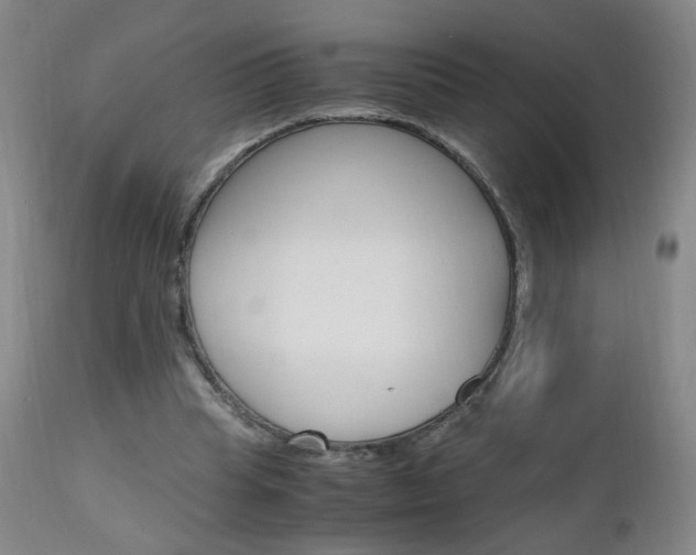 X0000112970345200908270948