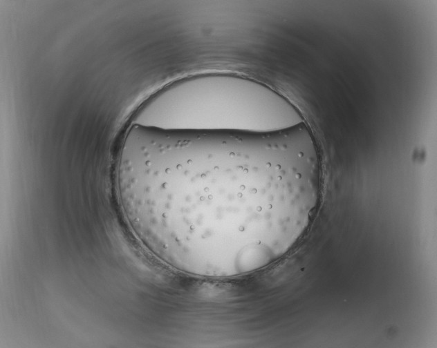 X0000112970346200908270948