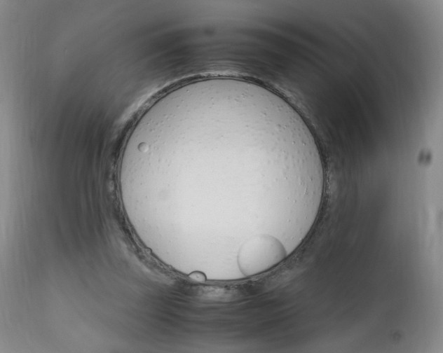 X0000112970347200908270948