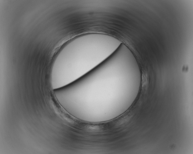 X0000112970349200908270948