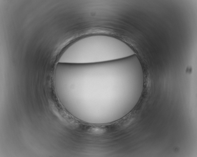 X0000112970352200908270948