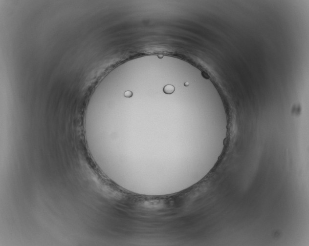 X0000112970353200908270948