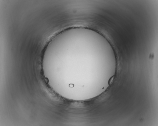 X0000112970354200908270948