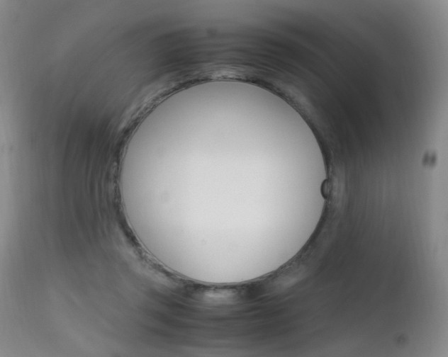 X0000112970357200908270949