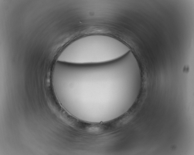 X0000112970358200908270949