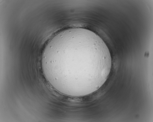 X0000112970359200908270949