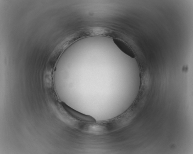 X0000112970360200908270949