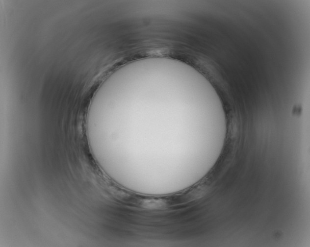 X0000112970363200908270949