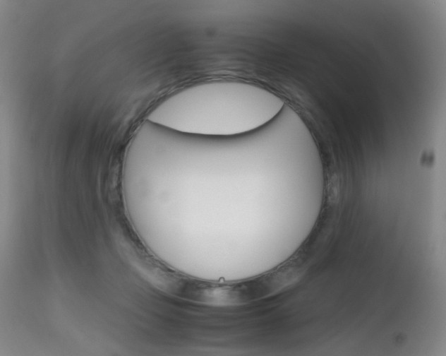 X0000112970365200908270949