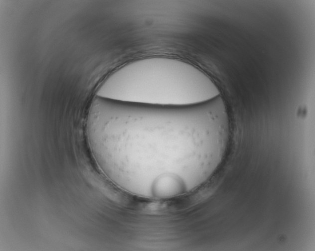 X0000112970366200908270949