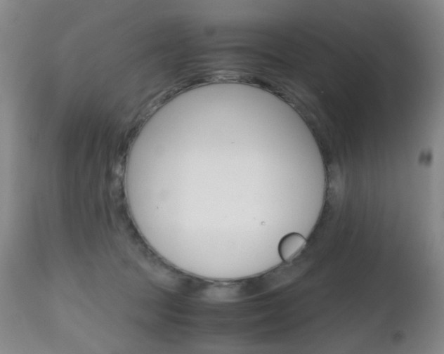 X0000112970369200908270949