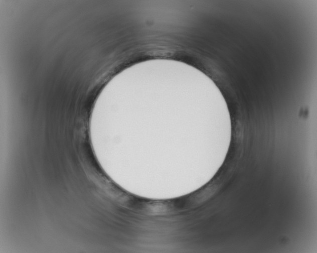 X0000112970370200908270949