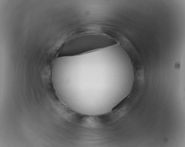 X0000112970372200908270949