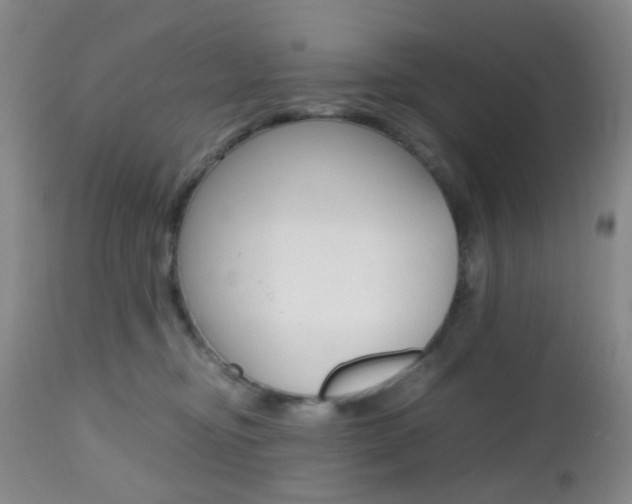 X0000112970374200908270949